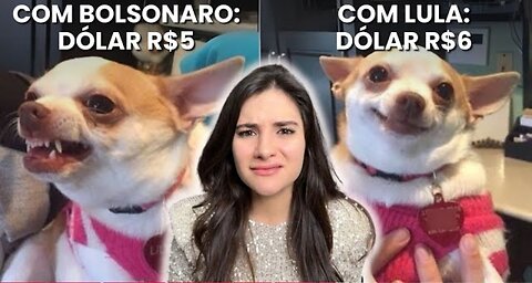 REAGINDO aos 10 COMENTÁRIOS MAIS ABSURDOS sobre o DÓLAR