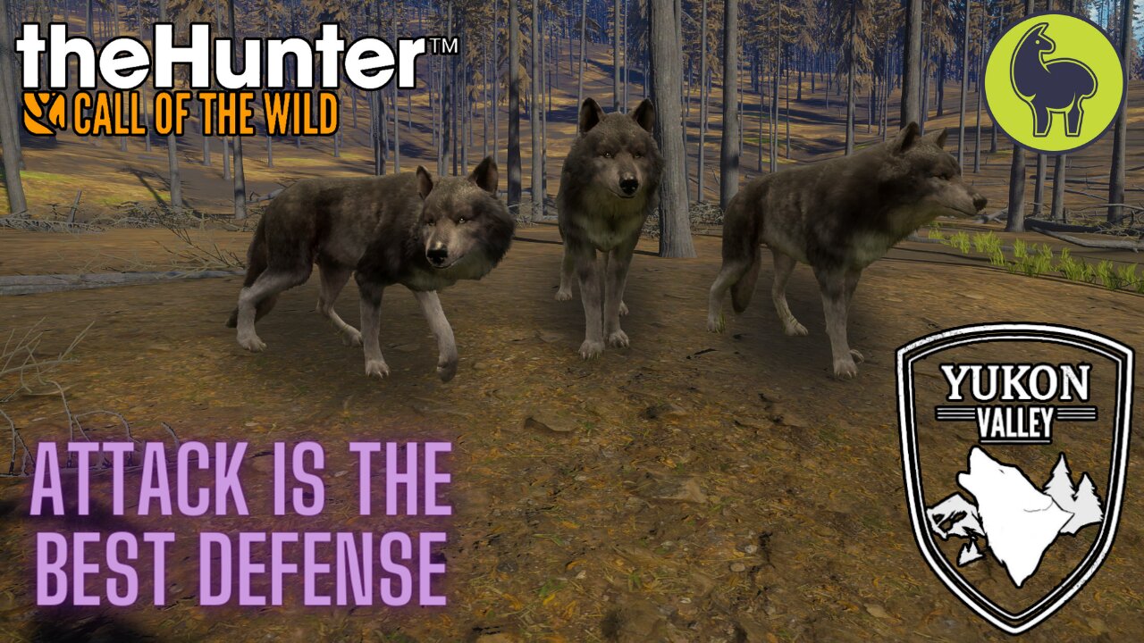 Attack is the Best Defense, Yukon Valley | theHunter: Call of the Wild (PS5 4K)