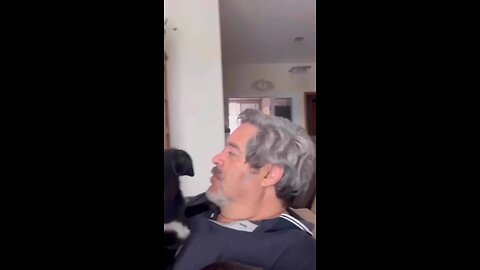 Unbelievable dog reaction #dog