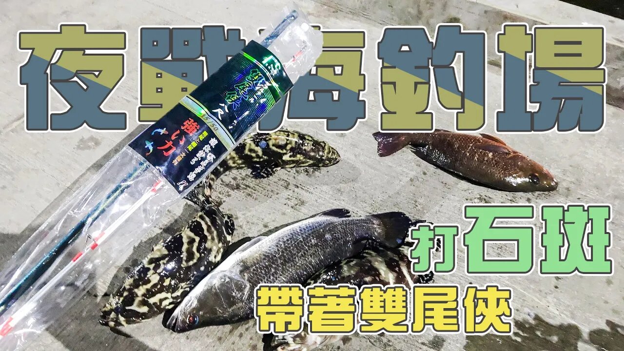 【台客去釣魚】夜晚再戰海釣場！這次有小小進步打到小小龍虎石班了！ feat.星海海釣場