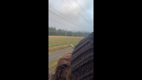 Washington state youth elk hunt