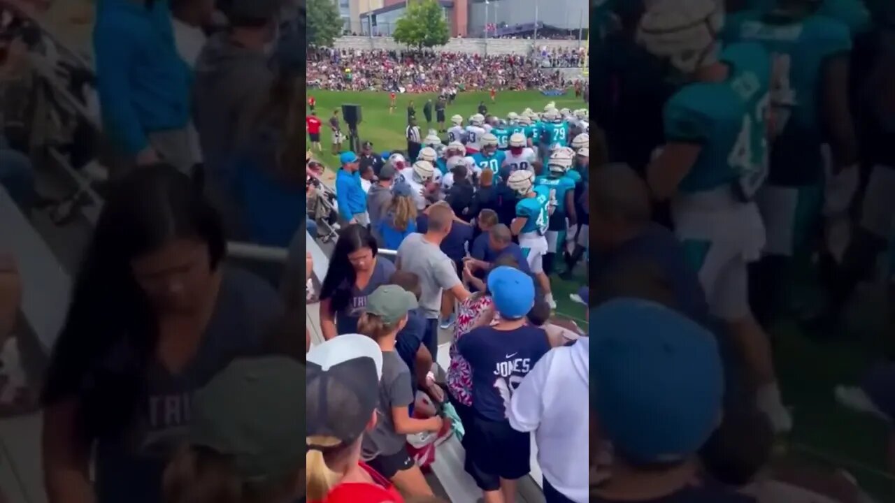 Patriots, Panthers fight during joint football practice #shorts #crazyvideo #nfl #preseason
