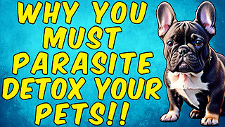 You Must Parasite Detox Your PETS!