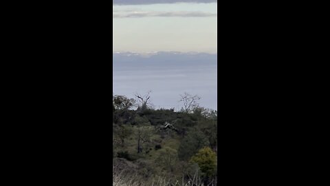 Sea of Fog to Sierra Nevada