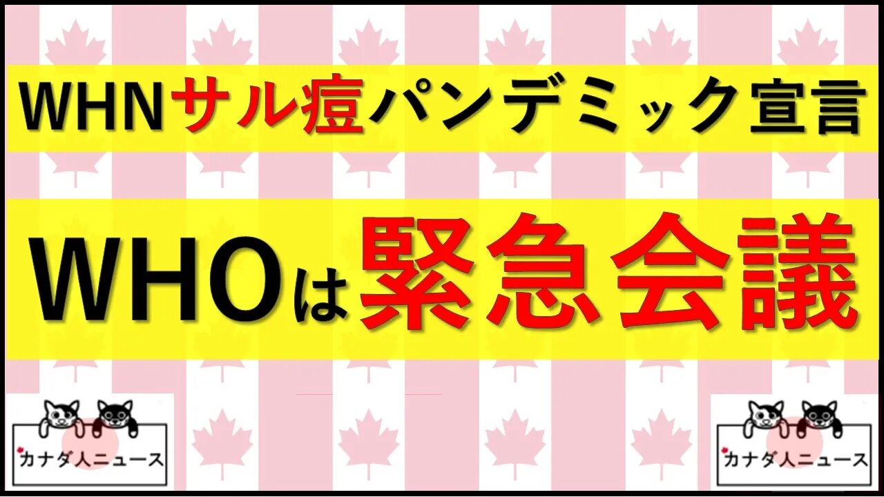 6.24 猿よ、ごめんよ