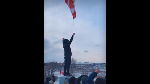 Freedom Convoy 2022 (Burlington, ON)