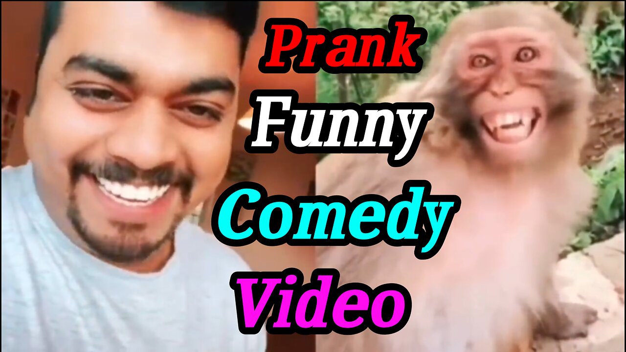 Troll Prank Dog Funny & fake Lion and Fake Tiger Prank To dog