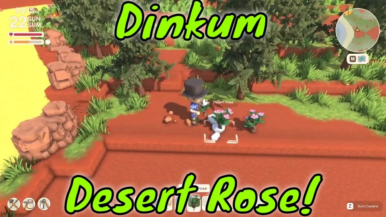 Dinkum How to Get Desert Rose