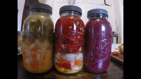Rare High End Fermented Probiotics Hot Sauce