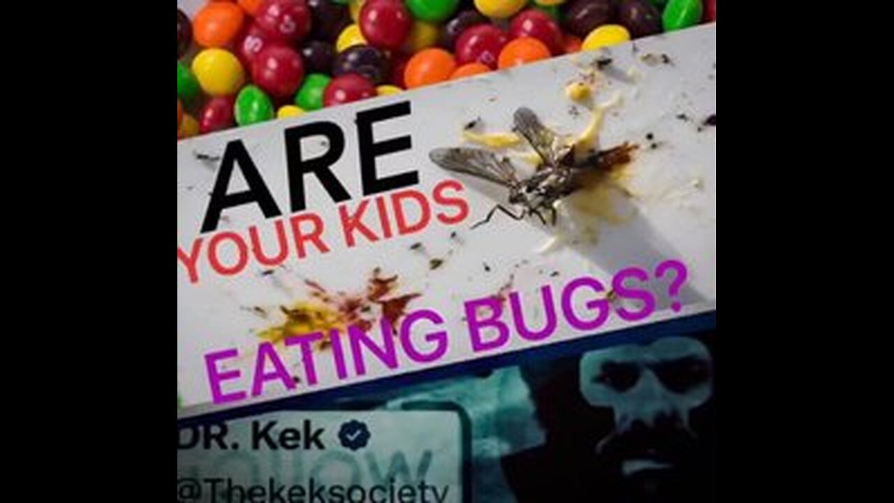 ‼️Are Your Kids Eating Bugs?