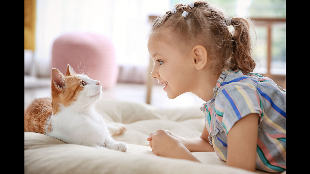 Cute cat πΊππ» animals funny video