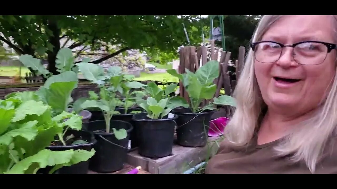 Gardening Grandma's Dollar Tree Tips for Planting