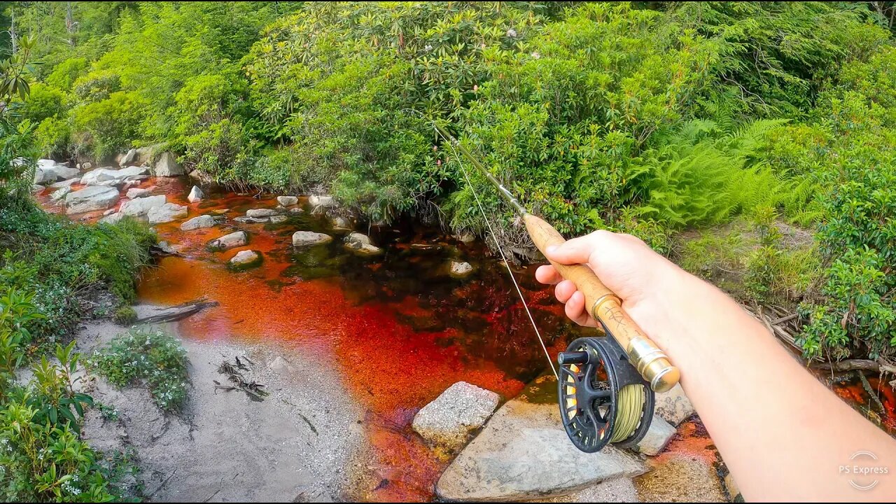 Creek Fishing BLOOD RED Water for Trout!!