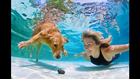 Teaching My Dogs How To Swim