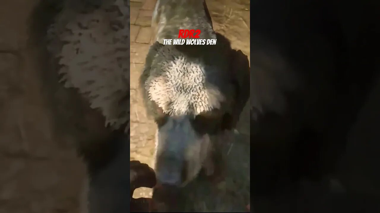 hey boy #shorts #rdr2 #subscribe #trending
