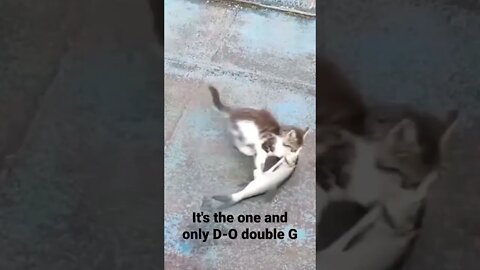 It's the one and only D-O double G...pussy-cat loves fish edition