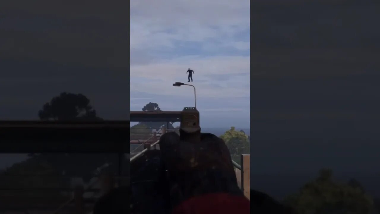 They just keep Flying | DayZ