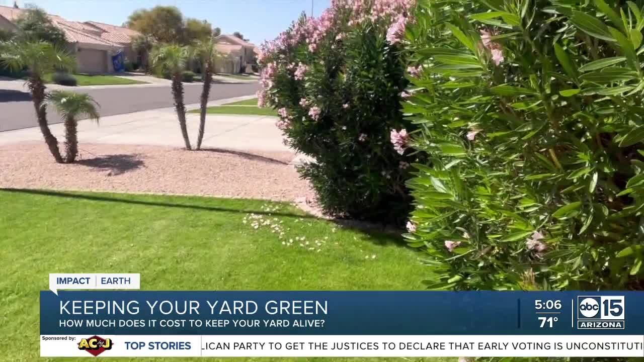 Running Dry: How much does it cost to keep your yard green?