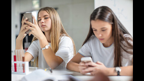 Disaster Generation Z (What Parents)