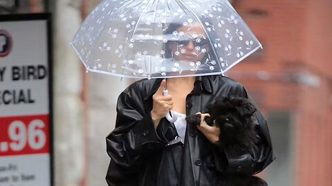 Irina Shayk carries her dog while using her daughter Lea's umbrella in rainy NYC