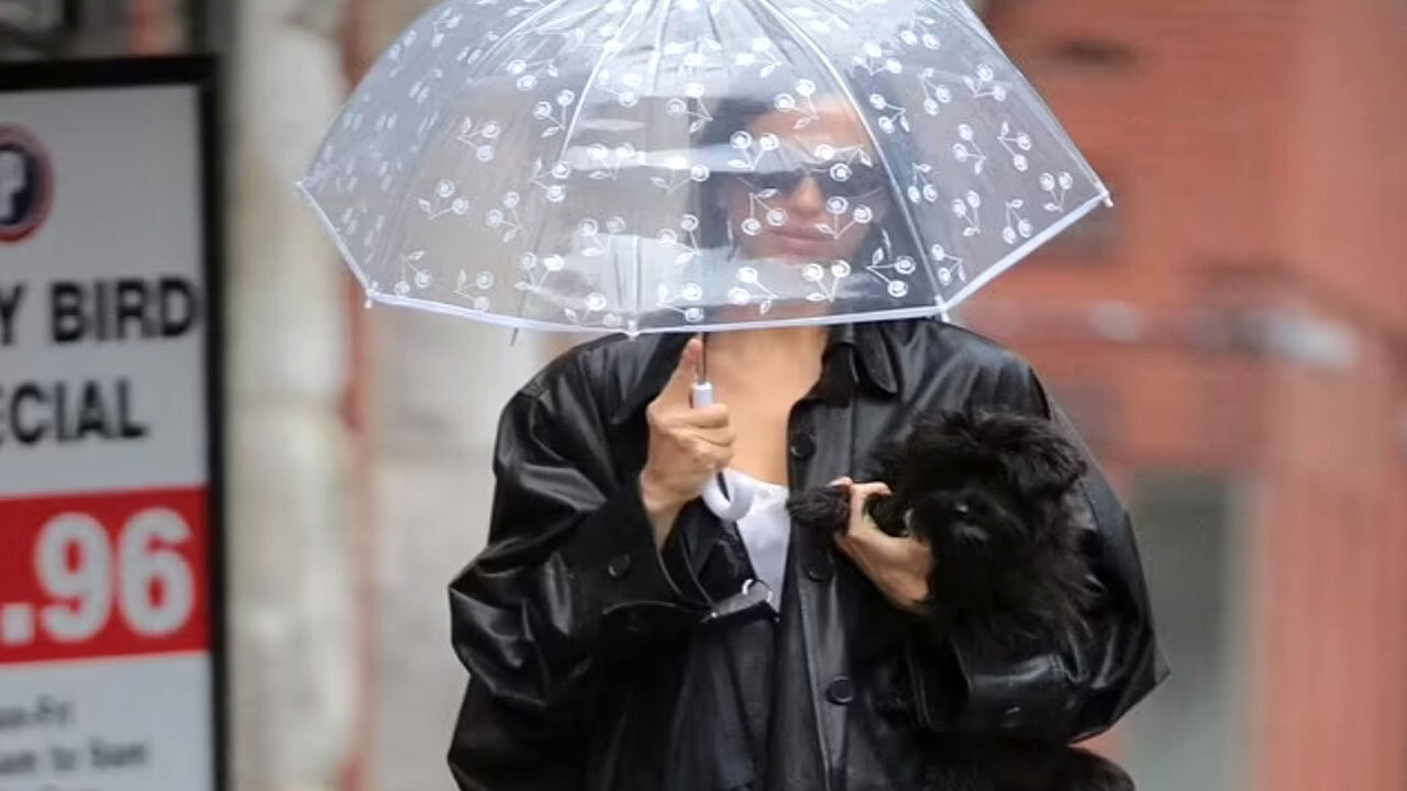 Irina Shayk carries her dog while using her daughter Lea's umbrella in rainy NYC