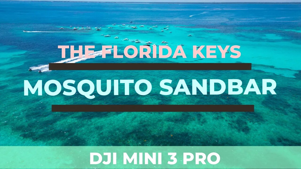 Mosquito Sandbar Key Largo - The Best Sandbar in the Florida Keys