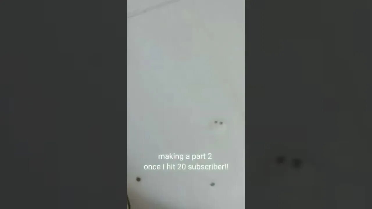 planning on doing something thank you for all the support!!