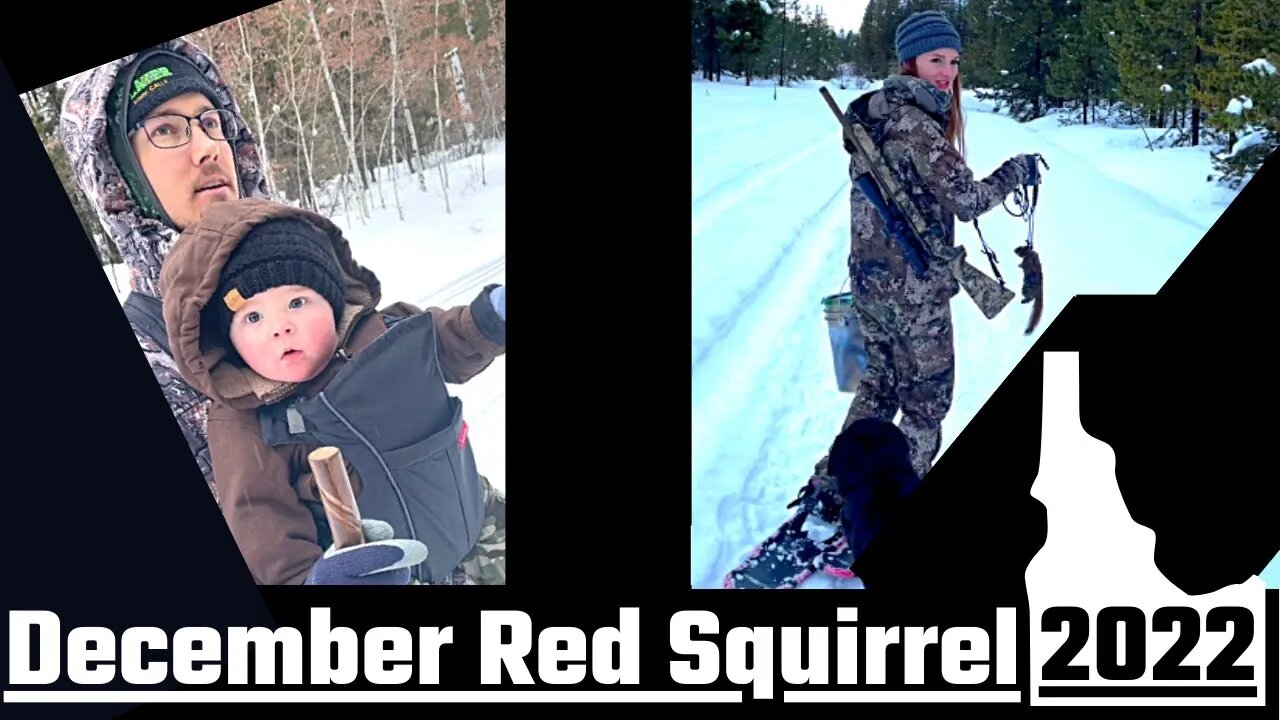 2022 December Squirrel Hunt