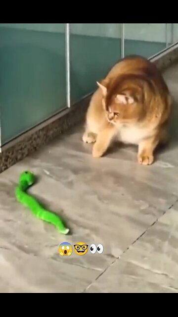 Danger 😱 shoot 😍 #funny 😂 #video #danger