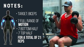 Hammer Curl 21s