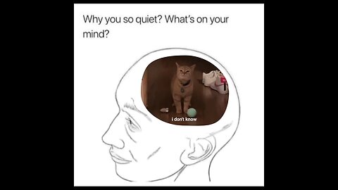 why you so quiet?