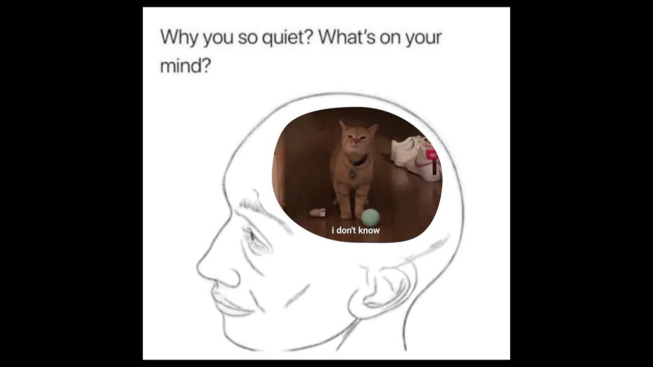 why you so quiet?