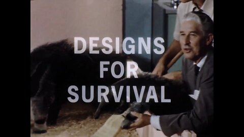 Mutual of Omaha's Wild Kingdom - Designs for Survival