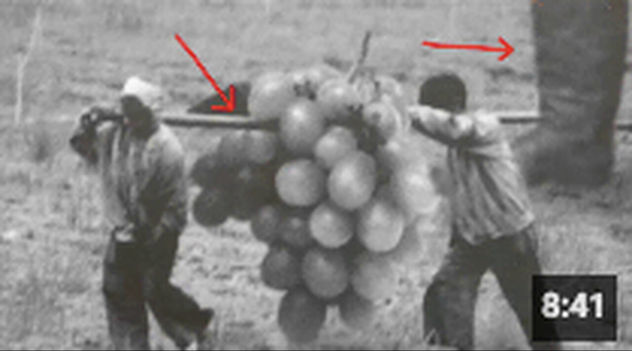 THERE'S A LOT TO EXPLAIN IN THIS PHOTO