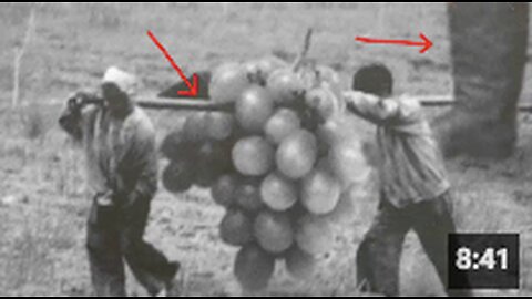 THERE'S A LOT TO EXPLAIN IN THIS PHOTO