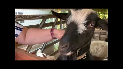 Visiting my Mom and Sister after they’ve recovered from the virus.