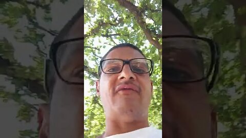 Wonderland Gardens Review - White Isolate