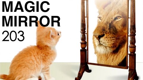 Magic Mirror 203 - Don't Be So Cynical