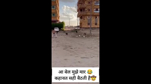 😂🤠