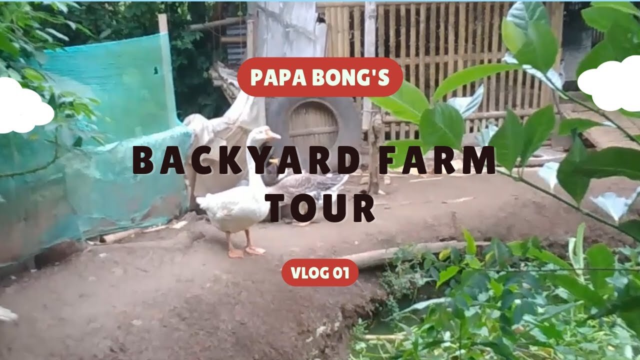 VLOG 01 | BACKYARD FARM TOUR