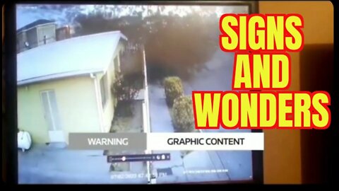 Flock of Blackbirds Suddenly Appear to Drop Dead Mid-Flight