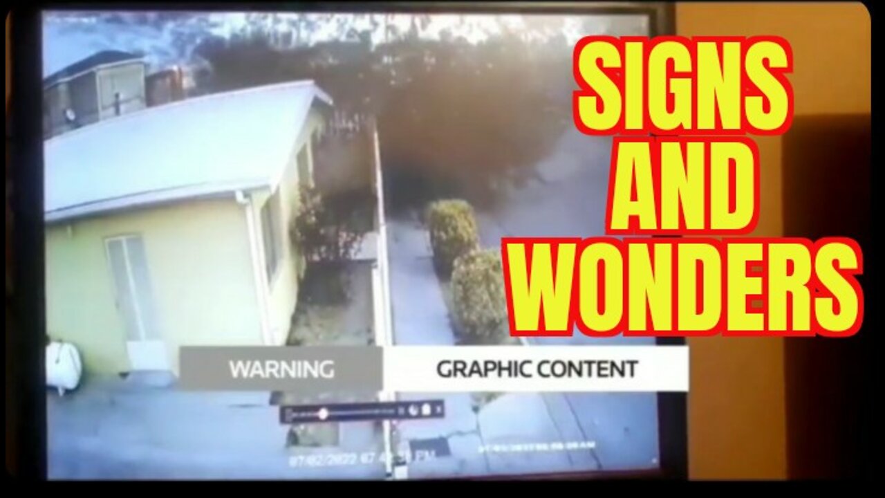 Flock of Blackbirds Suddenly Appear to Drop Dead Mid-Flight