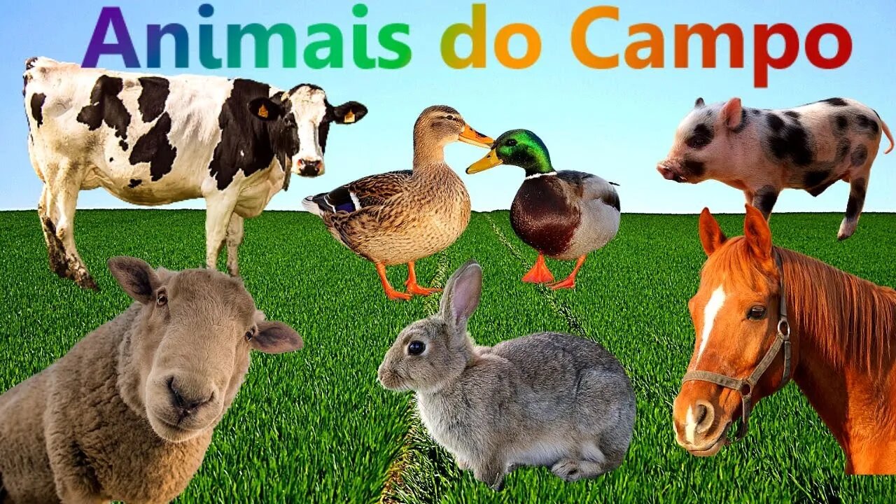 Som dos Animais | Nome dos Animais | Cavalo | Vaca | Pato | Galinha | Ovelha | Coelho