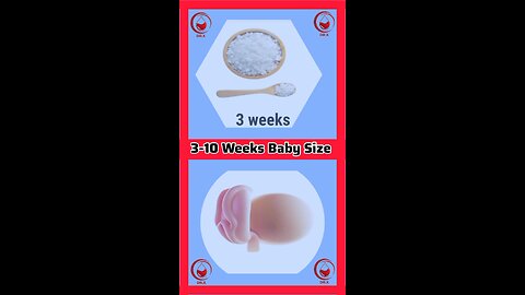 3-10 Weeks Baby Size