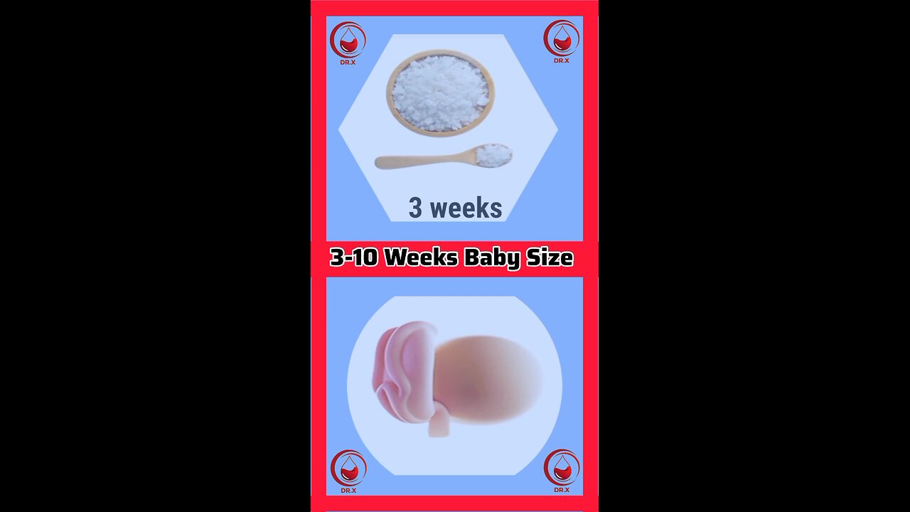 3-10 Weeks Baby Size