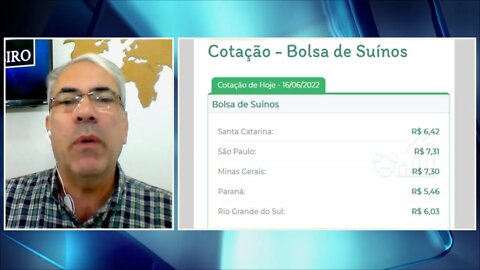 Suínos: Canadá libera importação de 3 plantas de SC