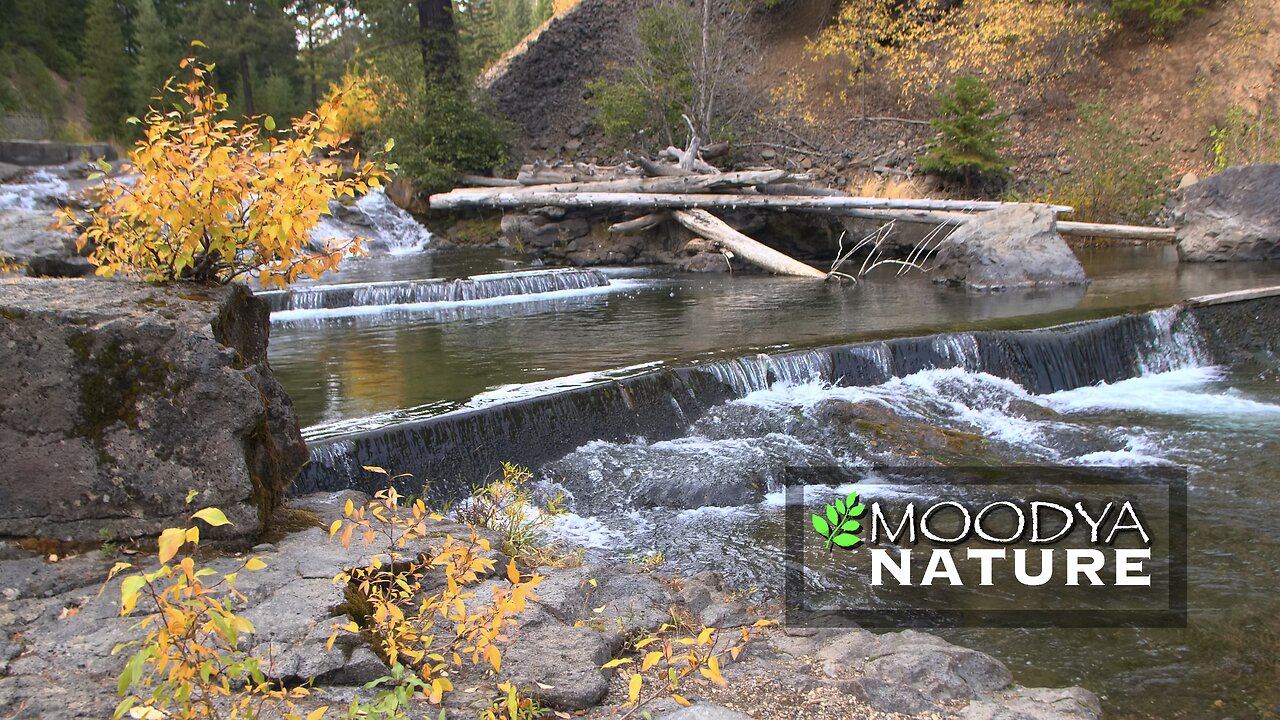 Relaxing Nature Video & Sound At Autumn’s Hideaway River Dam