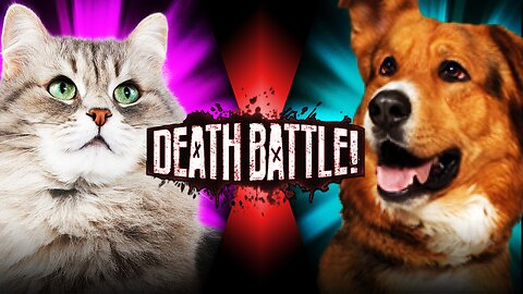 Cat vs Dog Epic Battle