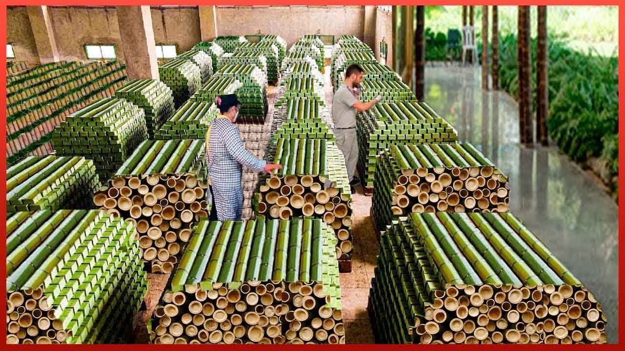 How to Processing Millions Bamboos to Product - Straws, Bamboo Houses | comedy jackpot