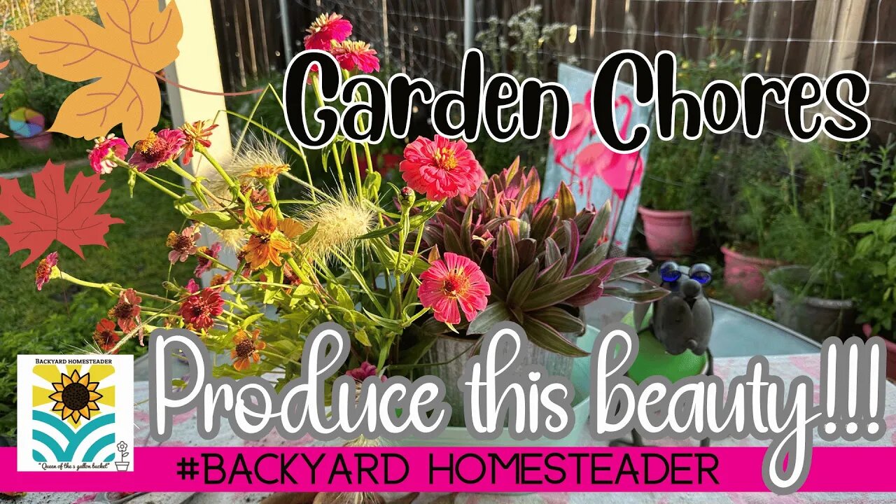 Garden Chores | Finding the Bounty and Beauty at the end of the Season